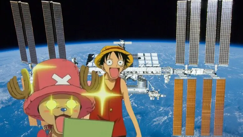 one piece