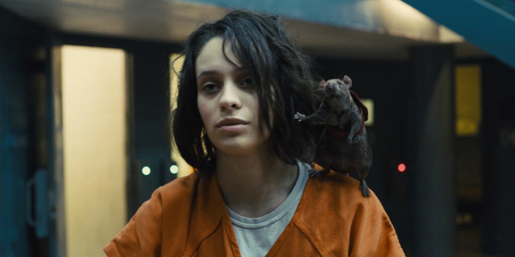 ratcatcher