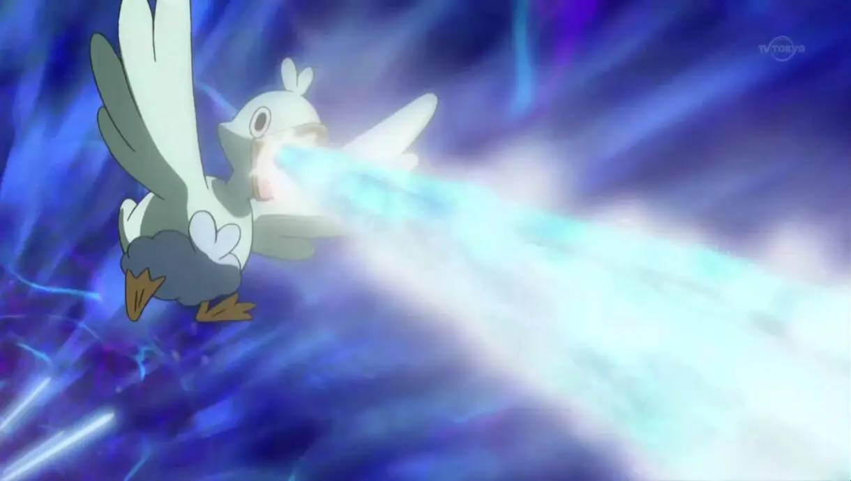 Ducklett Escaldar Pokemon