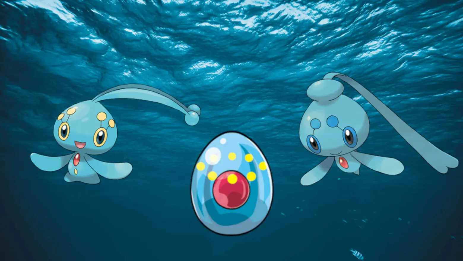 Manaphy Huevo Phione Pokemon