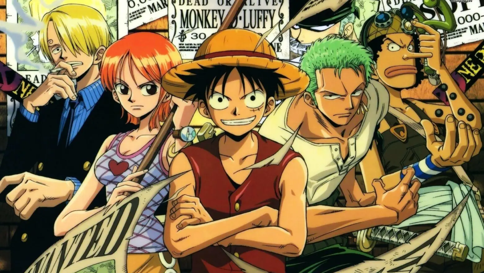 one piece anime