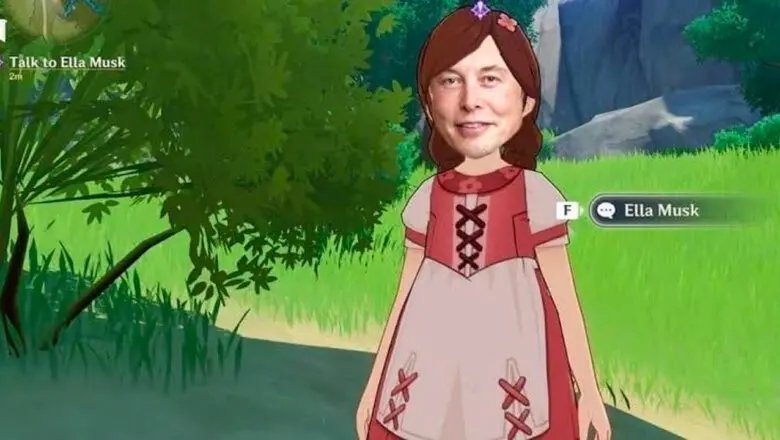 genshin impact elon musk