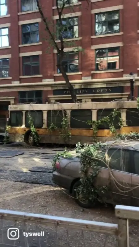 the last of us set 1