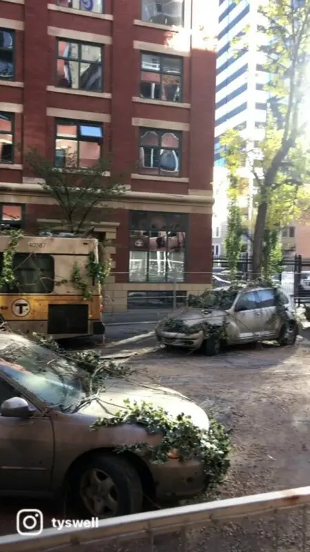 the last of us set 3