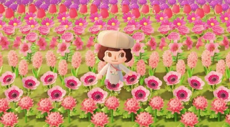 Imagen de La última actualización de Animal Crossing: New Horizons provoca plagas de flores por este motivo