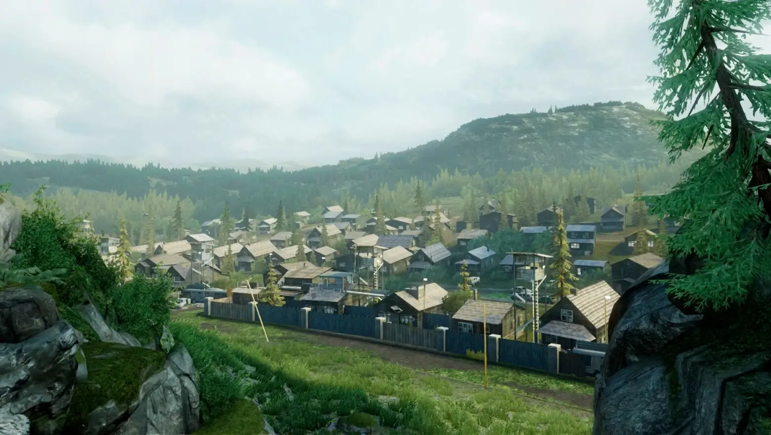 The Last of Us