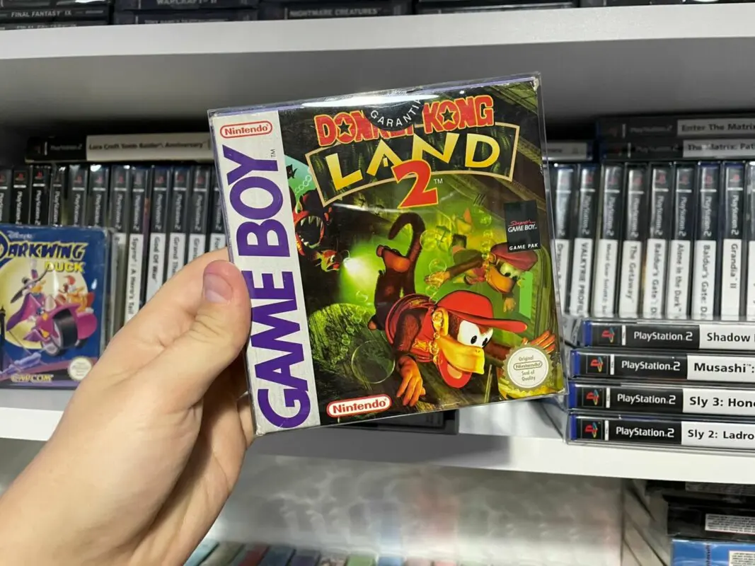 donkeykongland2