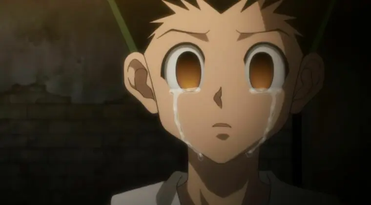 Imagen de 8 cosas que han pasado en el sector del manga/anime desde el último capítulo de Hunter x Hunter