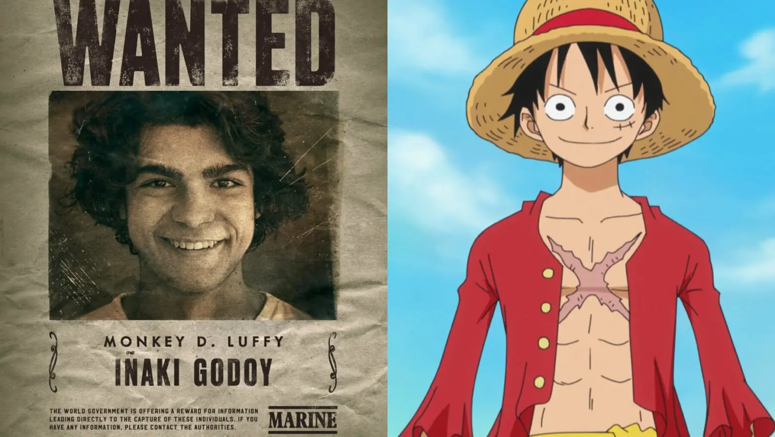 netflix one piece