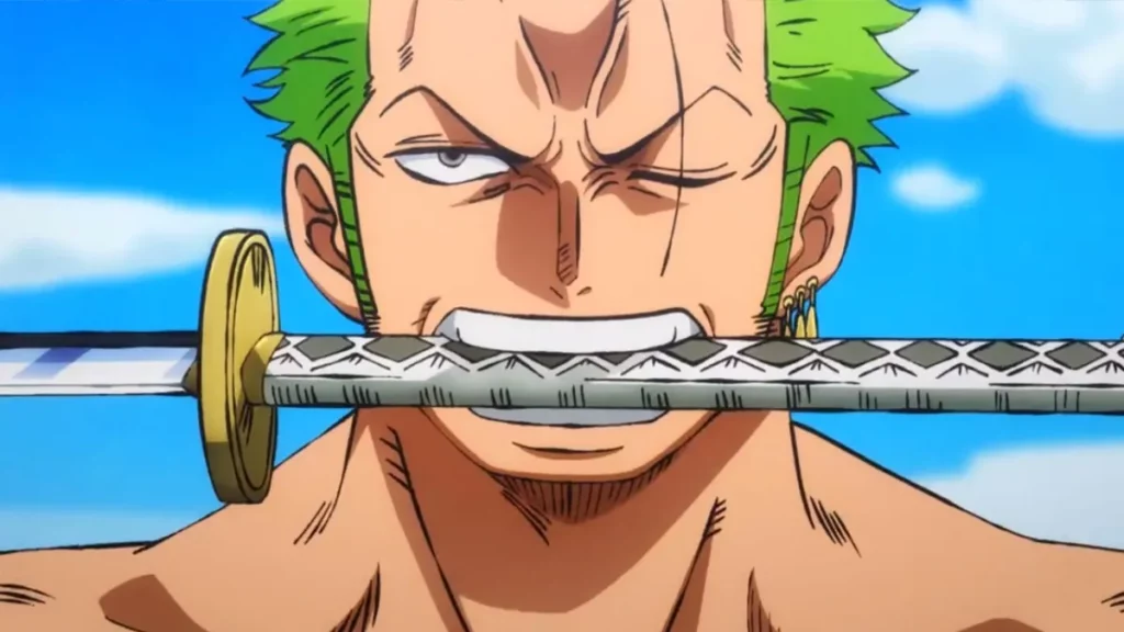 one piece cosplay zoro