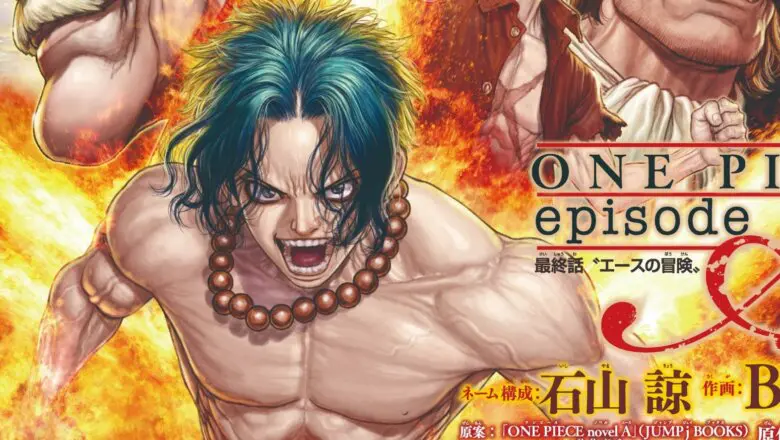 one piece novel A color