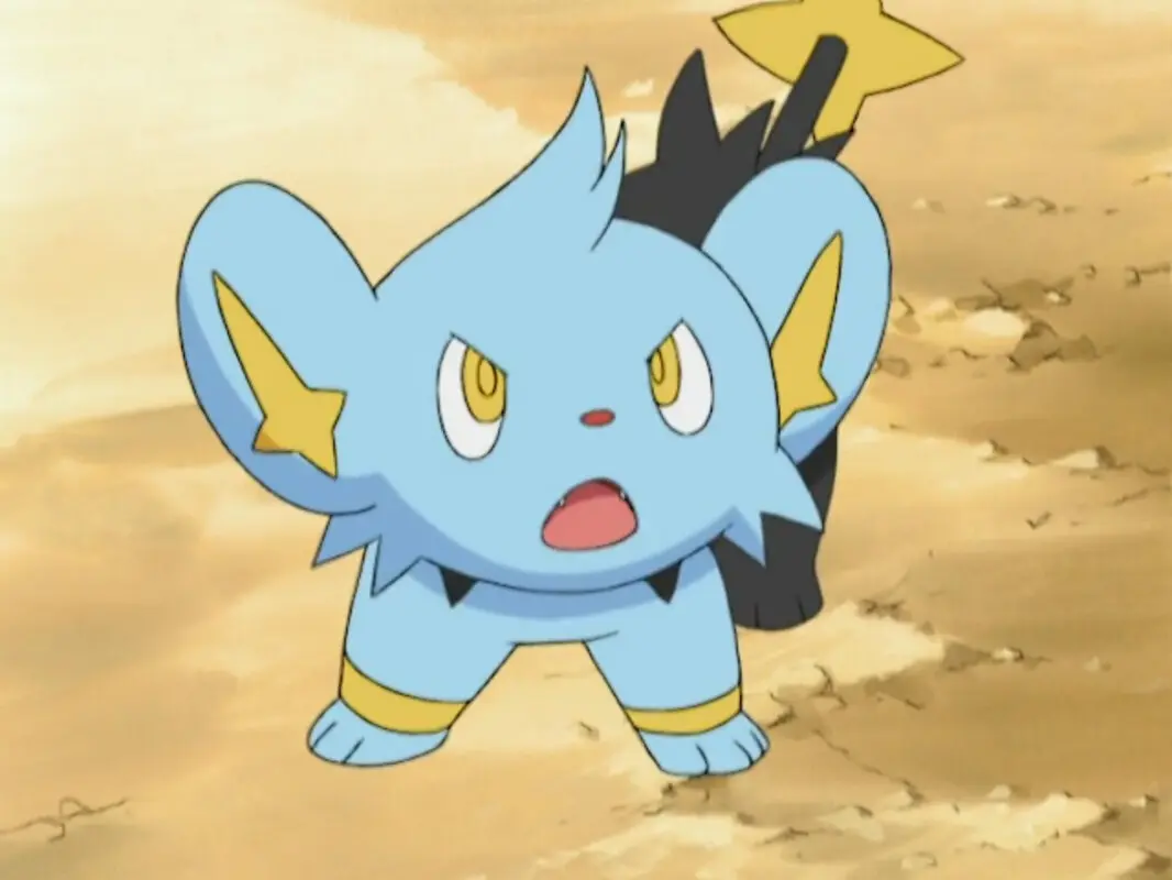 Shinx Pokemon