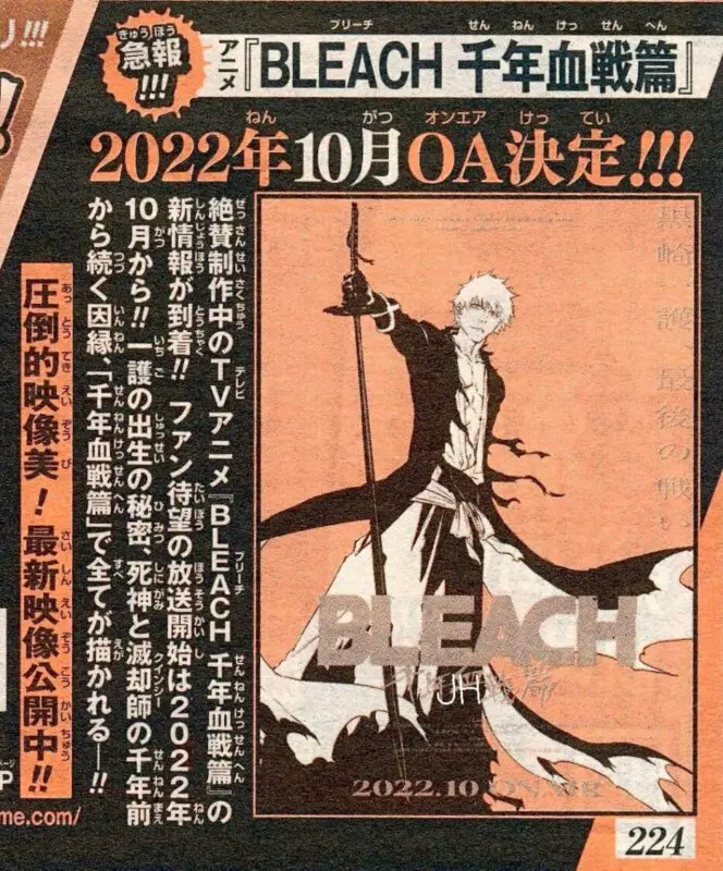 bleach tybw