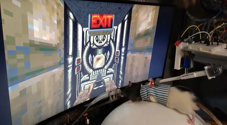 Imagen de Un científico enseña a sus ratas a jugar a Doom II, y ahora quiere retransmitir las partidas por Twitch