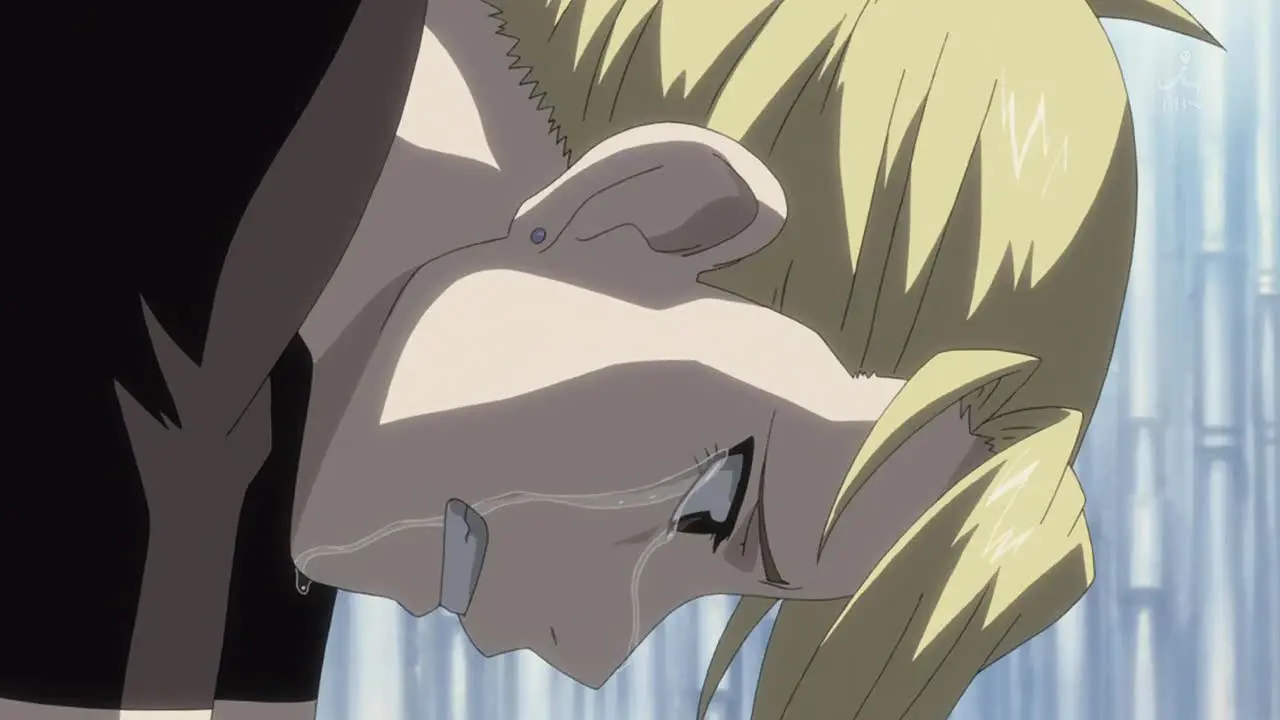 Fullmetal Alchemist Riza Hawkeye