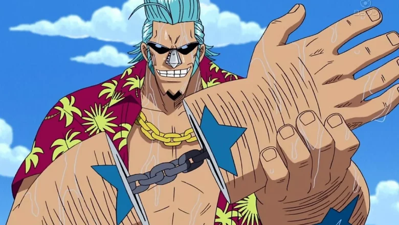 one piece franky