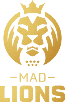 mad lionslogo profile