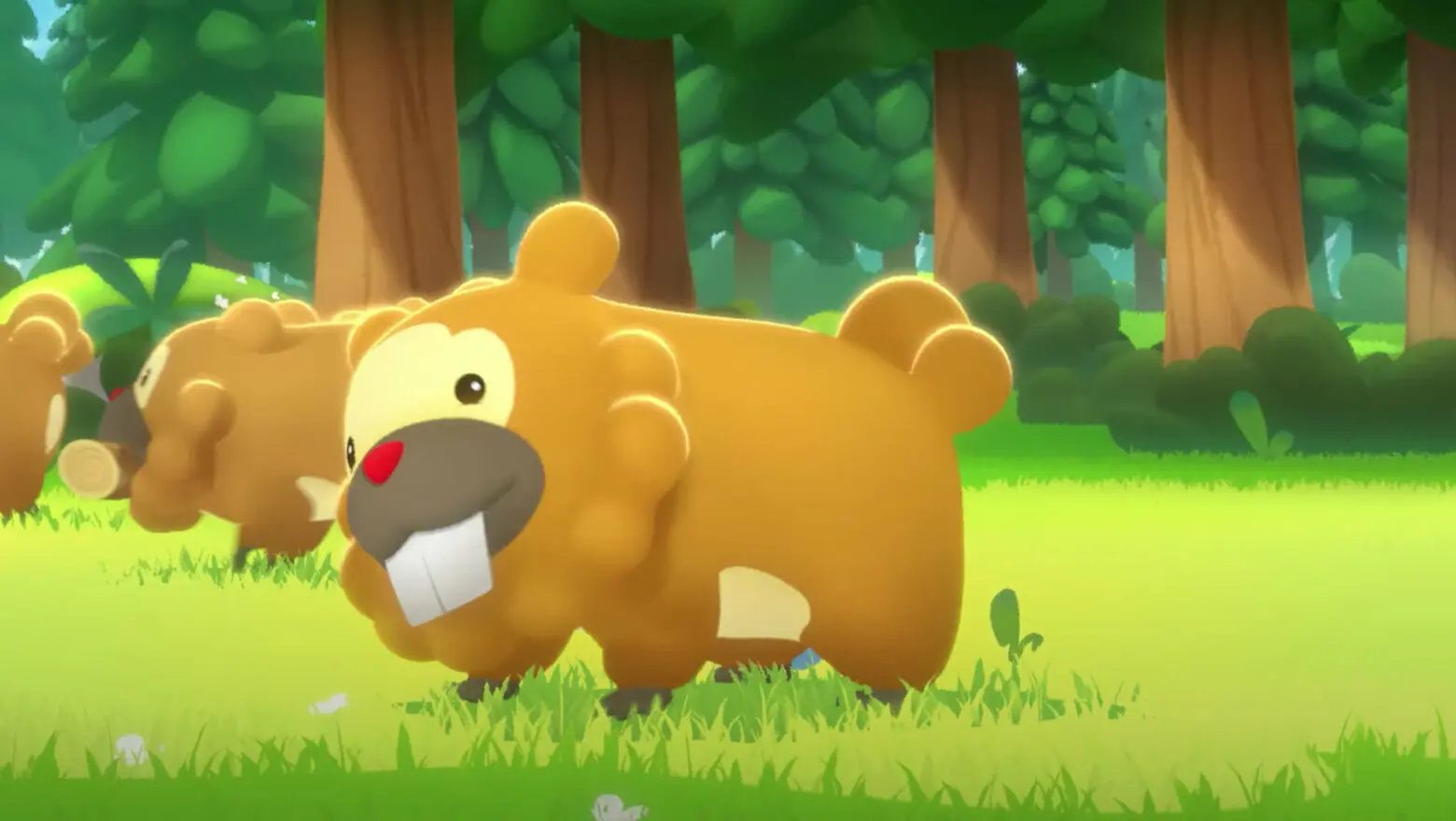 Pokemon corto Bidoof