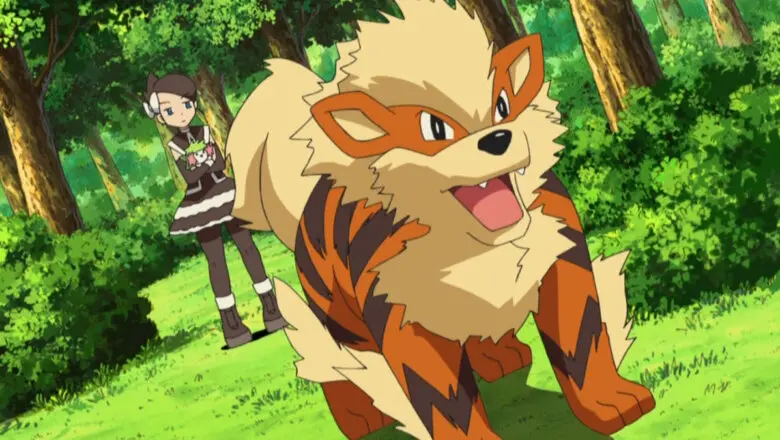 Arcanine Pokemon
