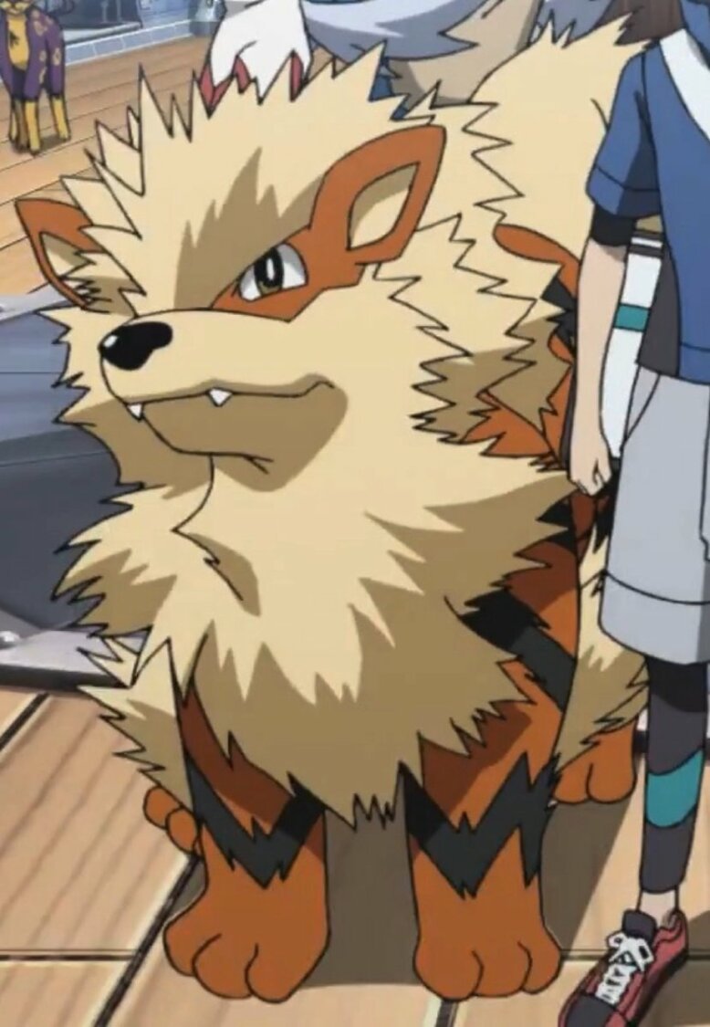 Arcanine Pokemon