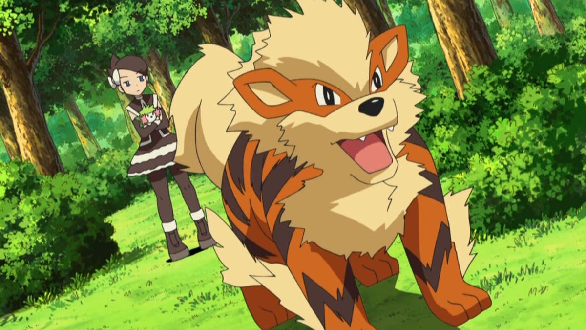 Arcanine Pokemon