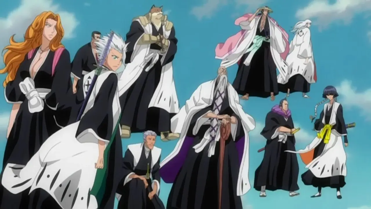 bleach gotei 13