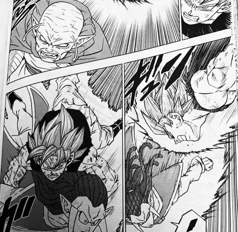 dbs 81 6