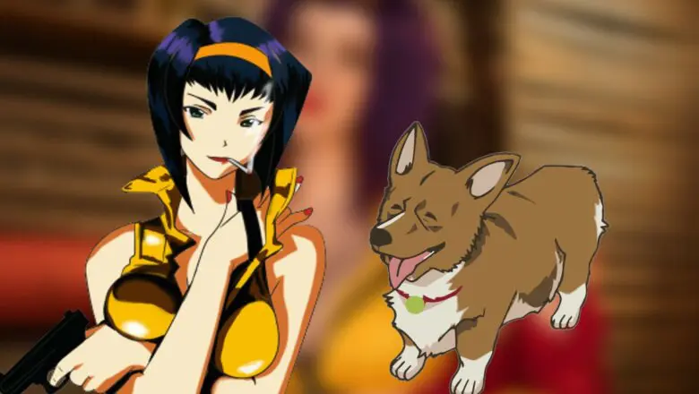 faye ein cosplay