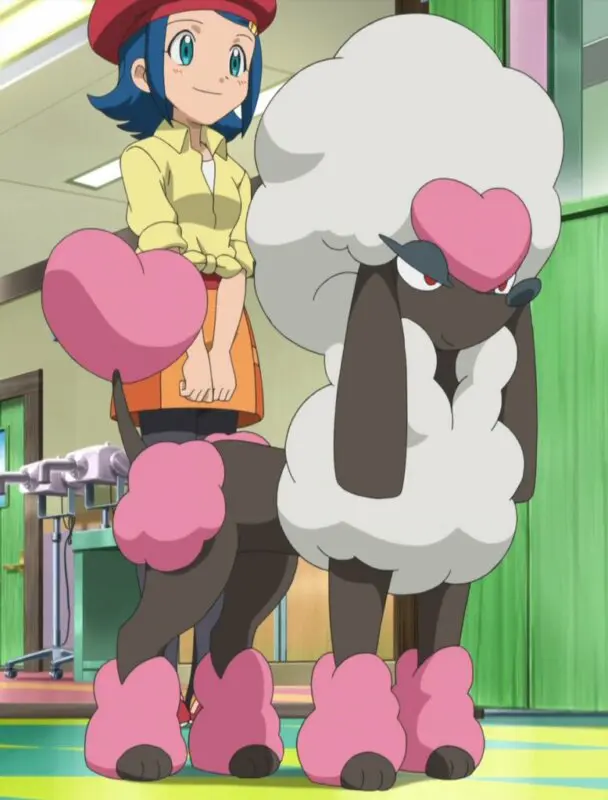 Furfrou Corte Corazon Pokemon