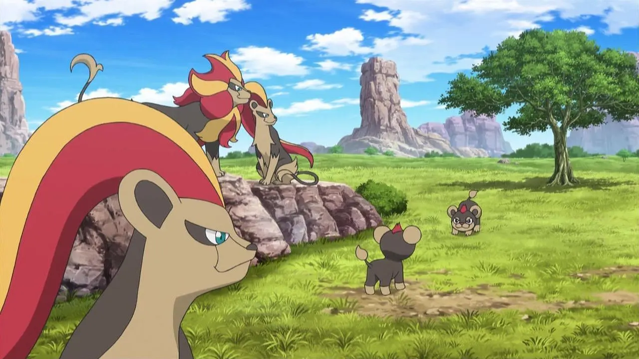 Litleo Pyroar Pokemon