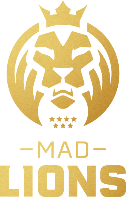 mad lionslogo profile
