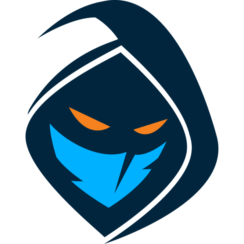 rogue 28european team29logo square