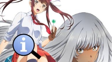 Imagen de Todo lo que sabemos sobre Shin Ikkitousen, el anime secuela de Ikkitousen