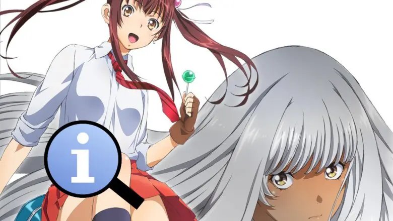 shin ikkitousen