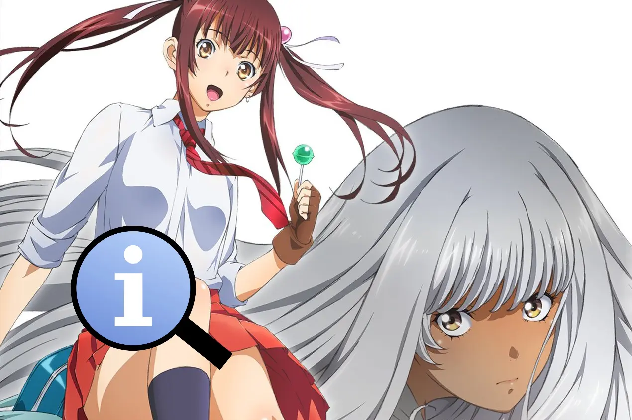 shin ikkitousen