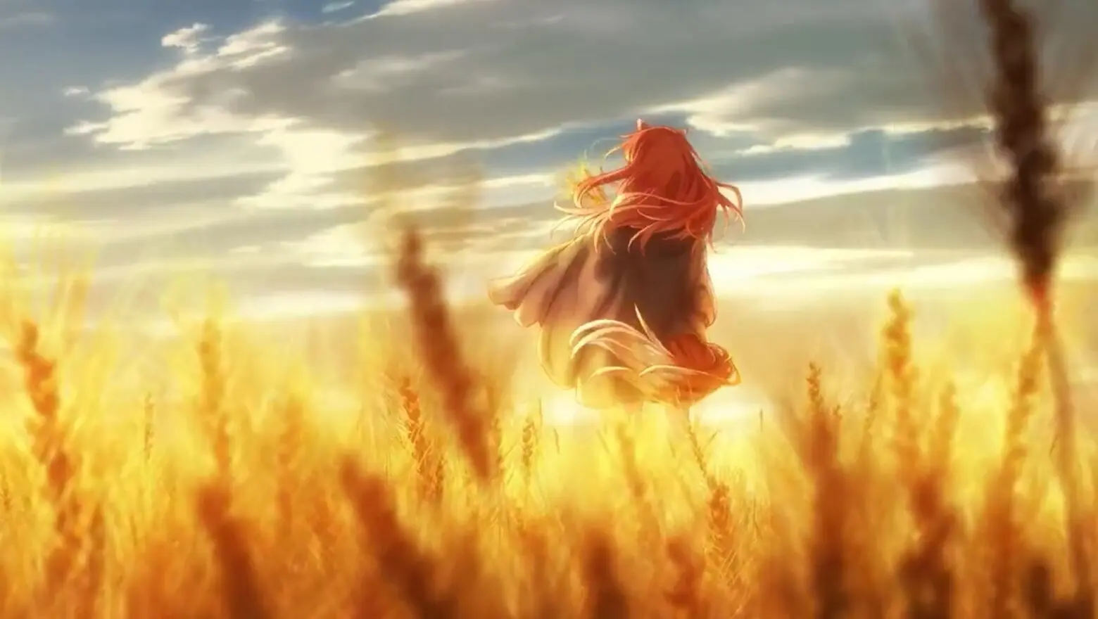 spice and wolf