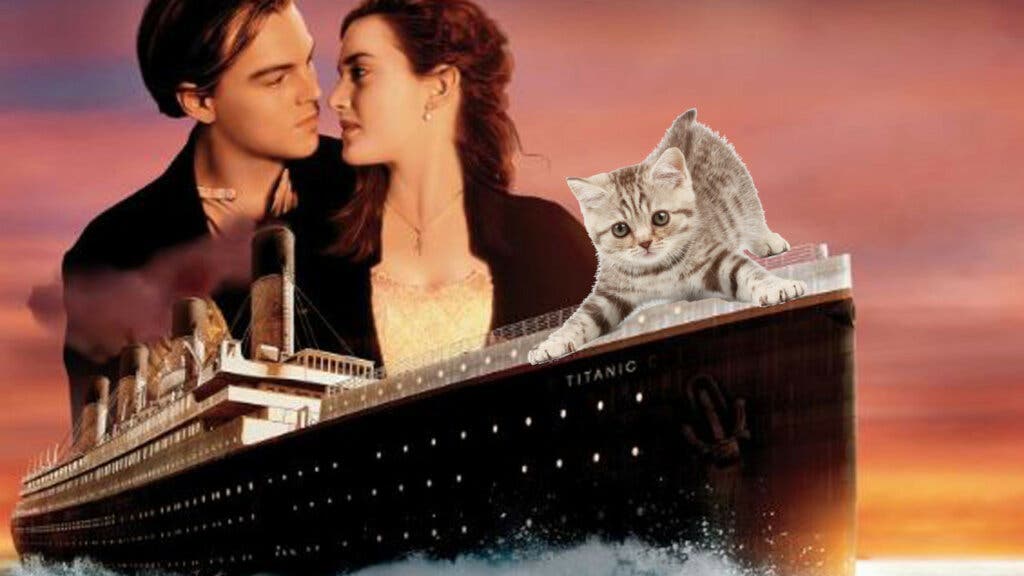 Titanic con gatos