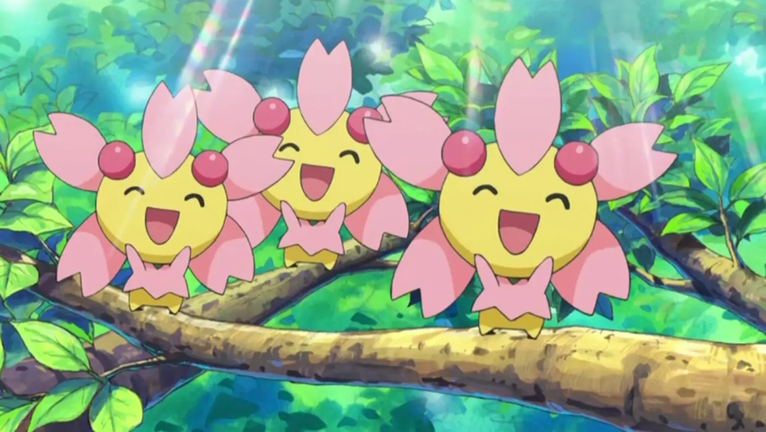 Cherrim Pokemon