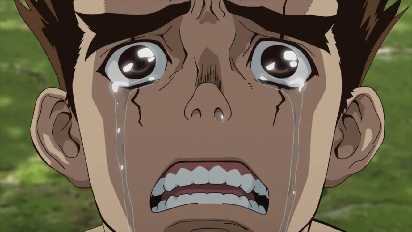 dr stone