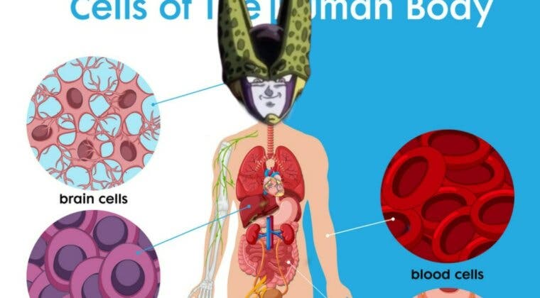 Imagen de Cell, el villano de Dragon Ball Z, se cuela en un libro de biología... ¿por error?