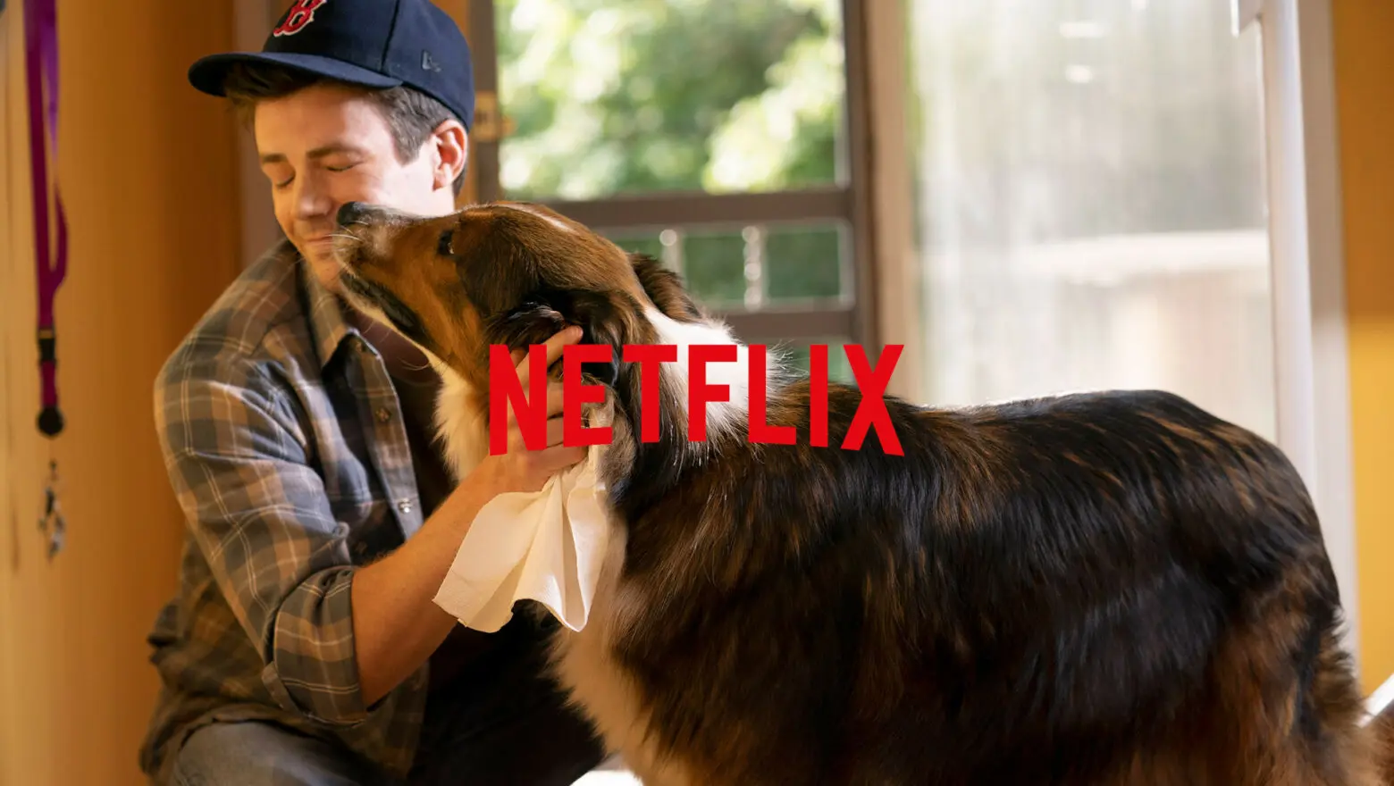 El rescate de Ruby, una película de Netflix emocionante