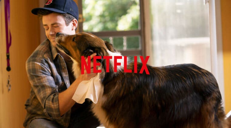 Imagen de Netflix: La película que deberías ver si tienes un perro y le quieres con toda tu alma