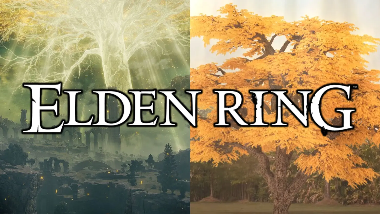 El anuncio de Elden Ring asiático