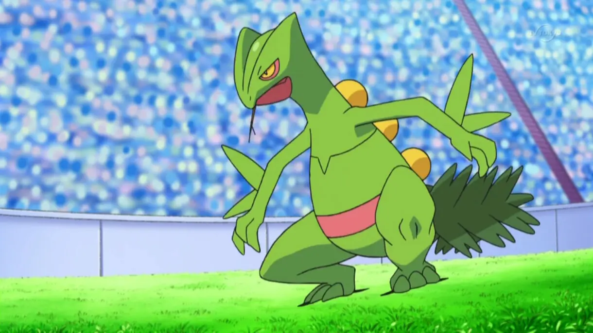 ep658 sceptile2