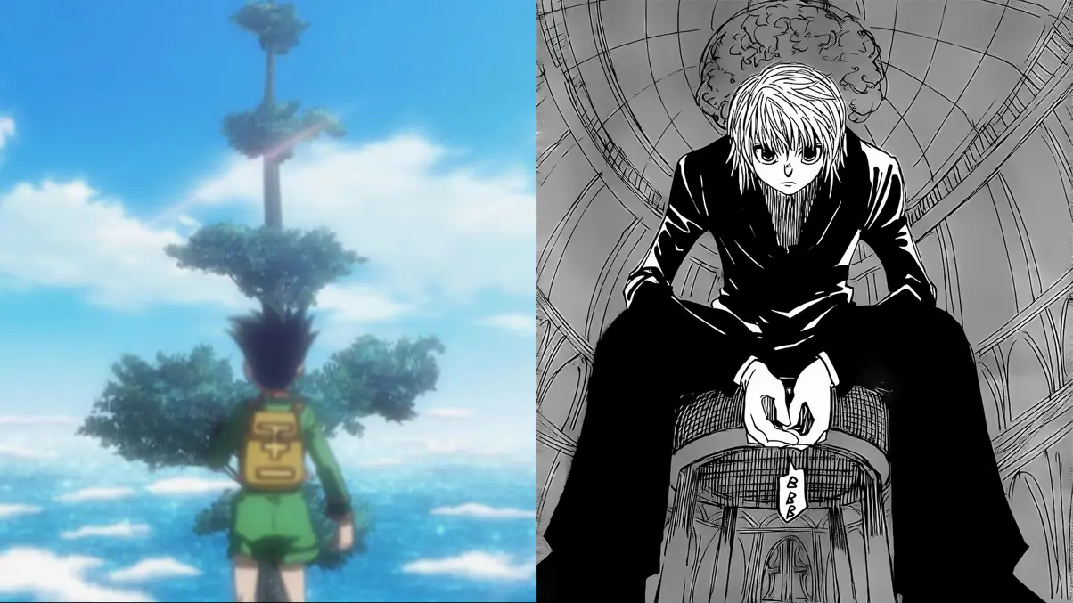 hunter x hunter manga y anime