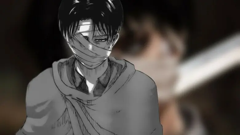 shingeki levi cos