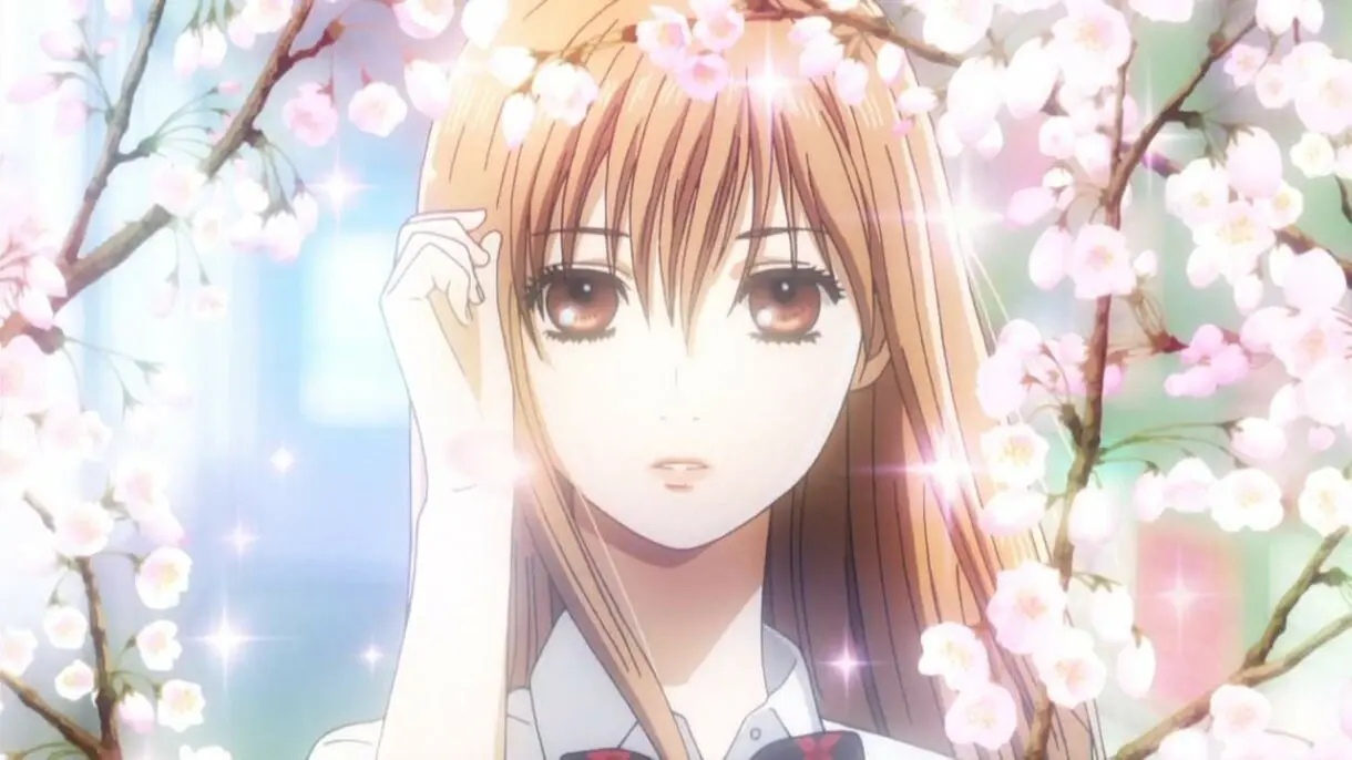 chihayafuru vol 50