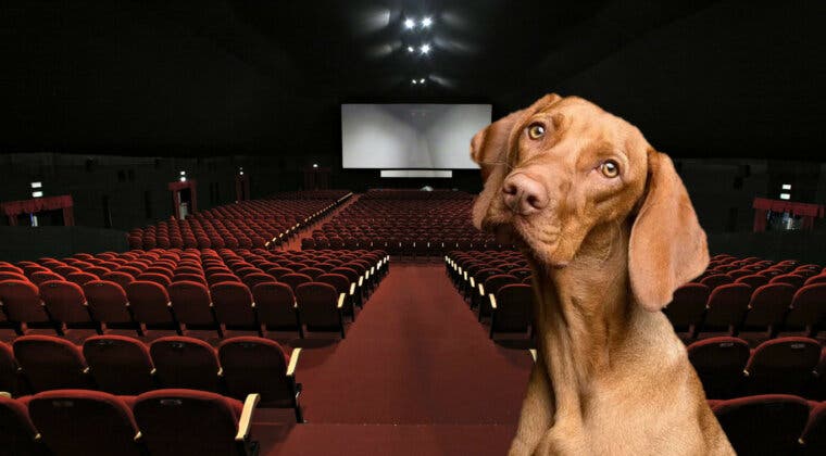 Imagen de El cine que ya te permite disfrutar de una película junto a tu perro en España: ¿dónde se encuentra?