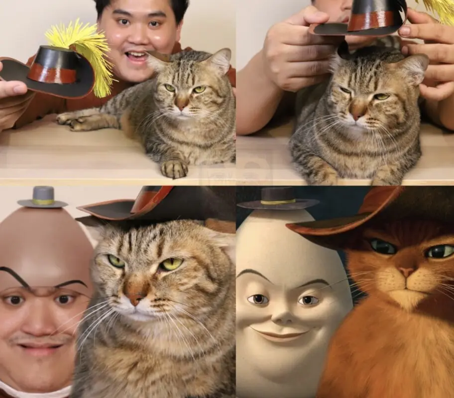 cosplay El gato con botas Shrek