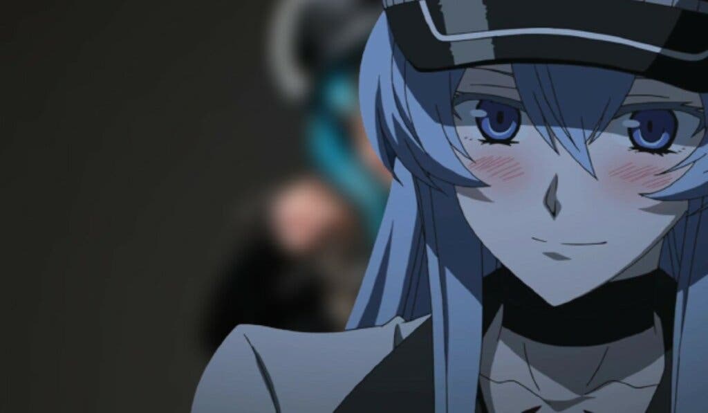 esdeath akame cosp